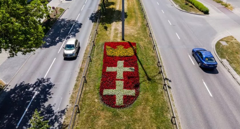 Morze kwiatów zaleje Gdańsk? Aktywiści sprawdzili - Zdjęcie główne