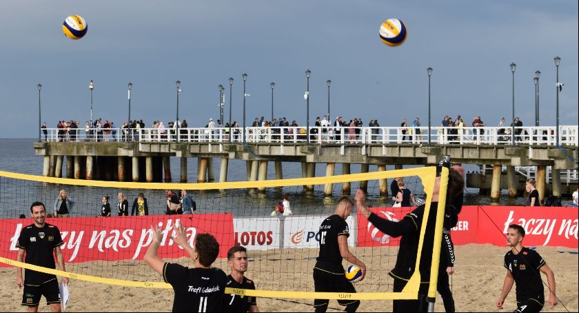 Spędź piątek na plaży z gdańskimi lwami - Zdjęcie główne