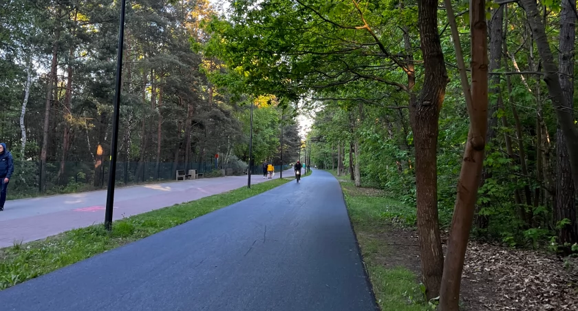 Chaos na rowerowej trasie nadmorskiej. Ile poczekamy na nowe oznakowanie? - Zdjęcie główne