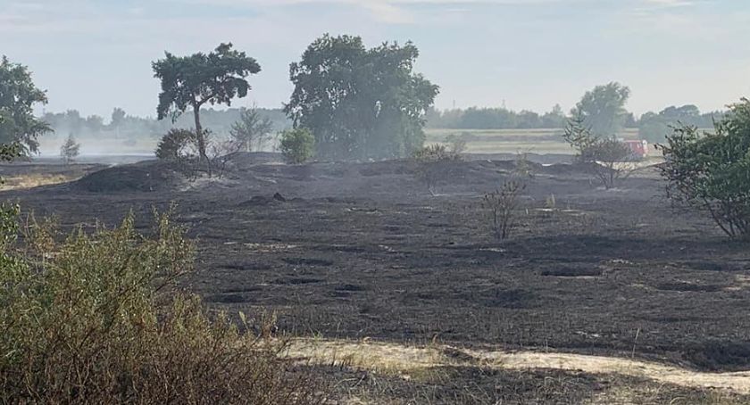 Potężny pożar traw na Stogach - Zdjęcie główne