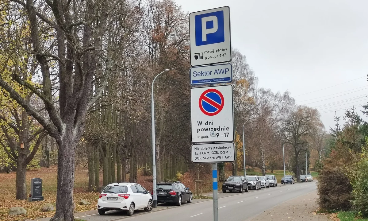 Parking w Jelitkowie płatny nie tylko w wakacje. Miasto wydłużyło działanie strefy - Zdjęcie główne