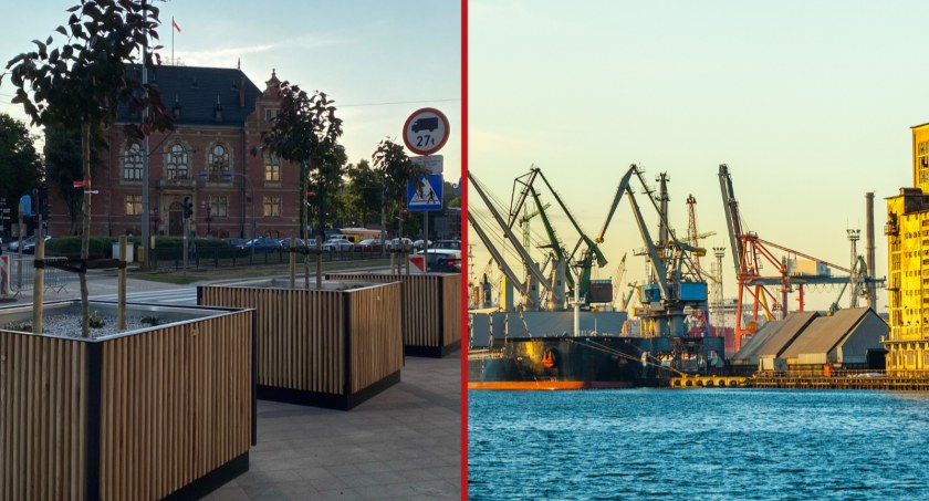 Port Gdańsk nasadzi tysiące drzew. To pokłosie planowanych wycinek - Zdjęcie główne