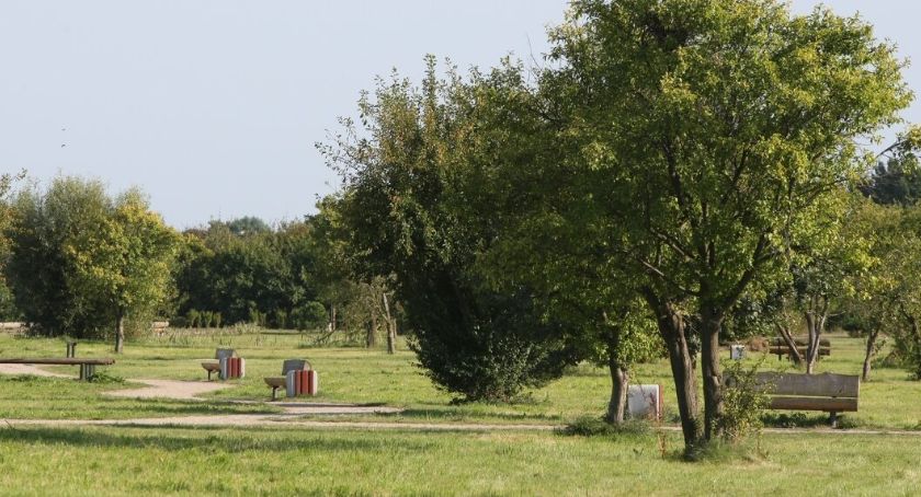 Karuzelin - park zabaw dla dorosłych powstanie w Parku Regana - Zdjęcie główne