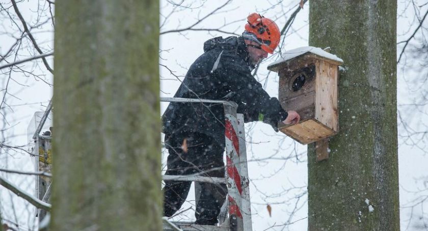 Ponad tysiąc budek lęgowych czeka na ptasie rodziny - Zdjęcie główne