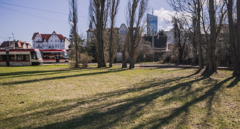 Na pętli tramwajowej w Oliwie powstanie zielona poczekalnia - Zdjęcie główne