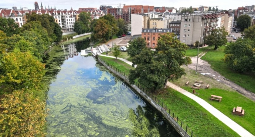 Gdańsk zyska nową przystań kajakową oraz miejsce do biwaków  - Zdjęcie główne