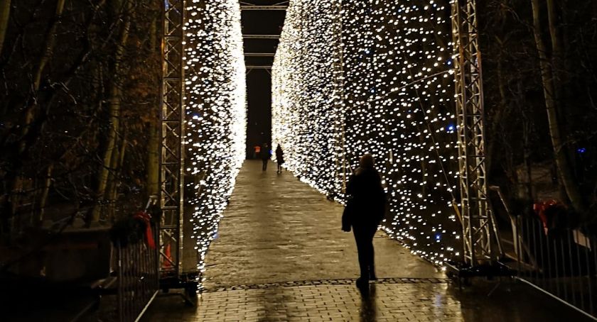 Bez świątecznych iluminacji w Parku Oliwskim - apelują radni dzielnicy Oliwa - Zdjęcie główne