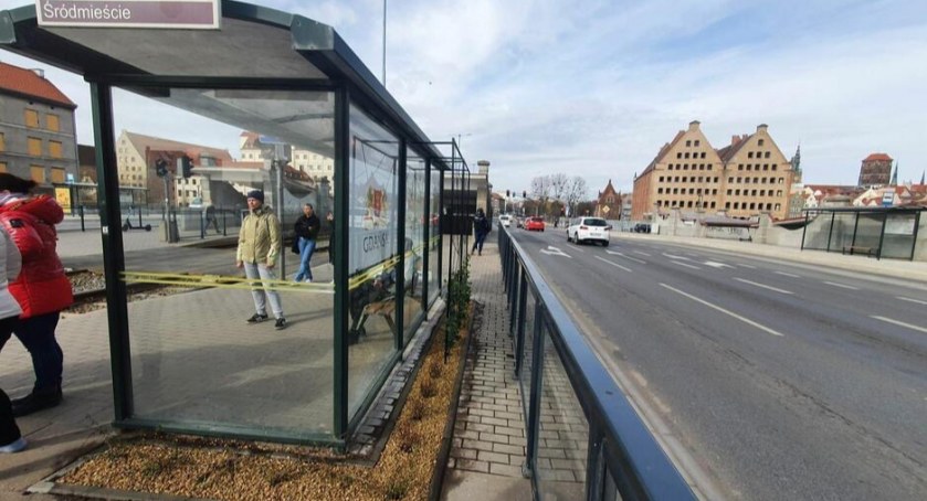 Pierwszy zielony przystanek w Gdańsku. Czy będą kolejne? - Zdjęcie główne