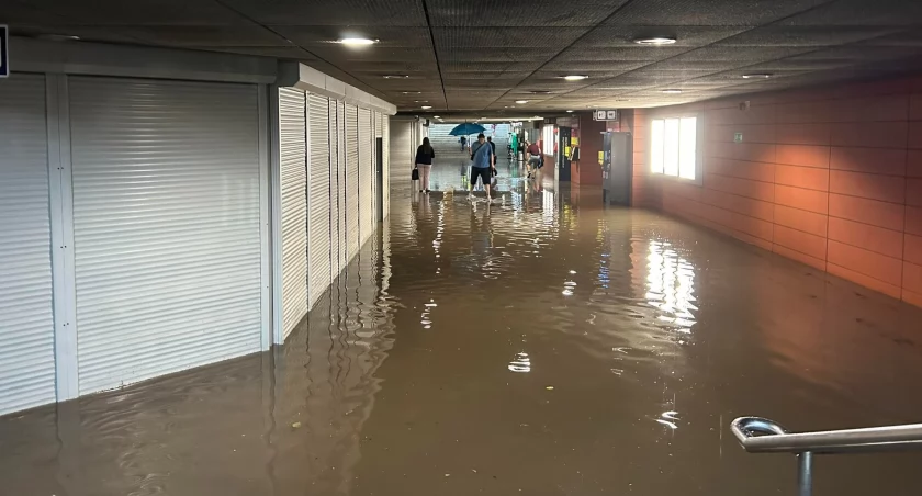 Ulewa przeszła nad Gdańskiem. Ulice zalane, powalone drzewa [ZDJĘCIA] - Zdjęcie główne