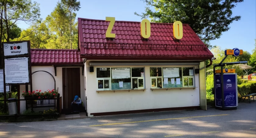 Dużo narodzin, ponad pół miliona odwiedzających. Gdańskie ZOO z sukcesem zamyka rok - Zdjęcie główne