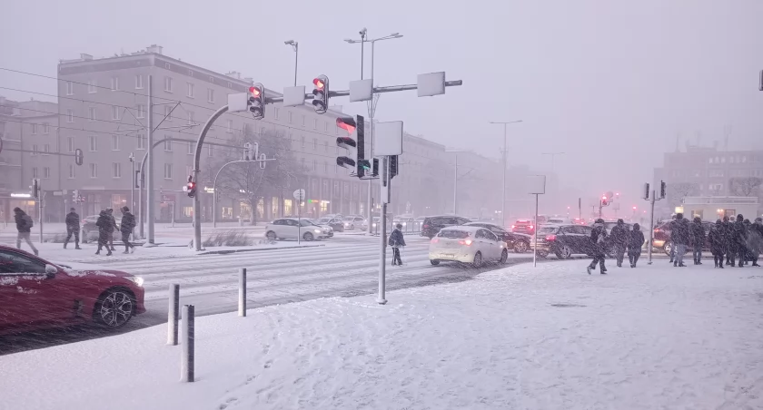 Śnieżyca w Gdańsku. Paraliż na drogach i lotnisku [ZDJĘCIA] - Zdjęcie główne