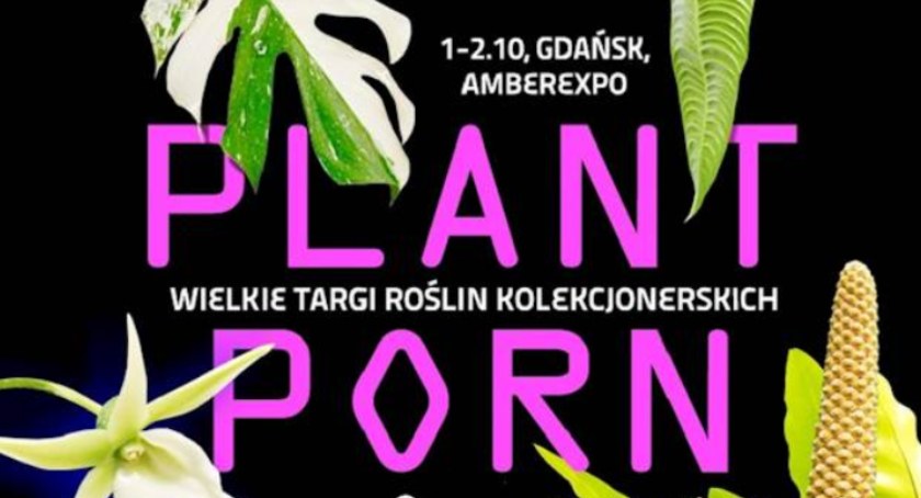 PlantPorn. Zobacz wyjątkowe i niespotykane gatunki roślin  - Zdjęcie główne