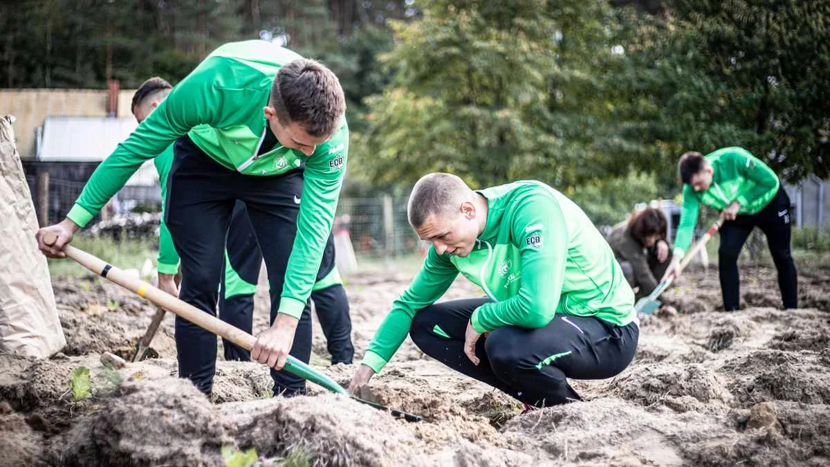 Piłkarze Warty Poznań znów będą sadzić drzewa. Piknik z kibicami już w przyszłym tygodniu - Zdjęcie główne