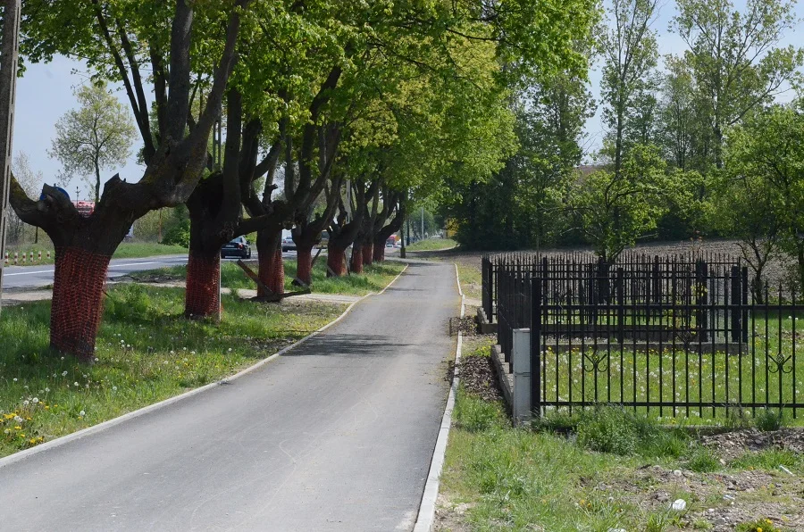 Mieszkańcy powiatu piotrkowskiego doczekają się ścieżki. Kiedy koniec budowy? - Zdjęcie główne
