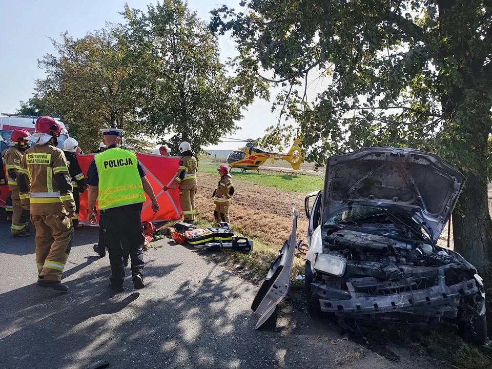 Śmiertelny wypadek w powiecie piotrkowskim. Mężczyzna uwięziony w zmiażdżonym pojeździe - Zdjęcie główne