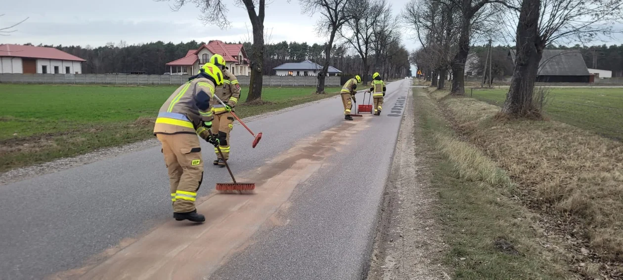 Nietypowa interwencja strażaków w powiecie piotrkowskim - Zdjęcie główne
