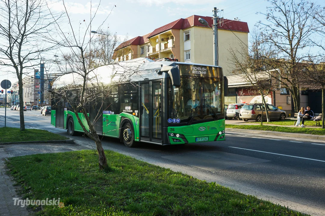 Darmowe MZK w Piotrkowie. Czy młodzież i dzieci od września mogą jeździć bezpłatnie? - Zdjęcie główne