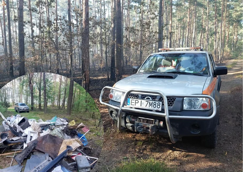 Piotrkowscy leśnicy polują na śmieciarzy. W akcji dron i kamery - Zdjęcie główne