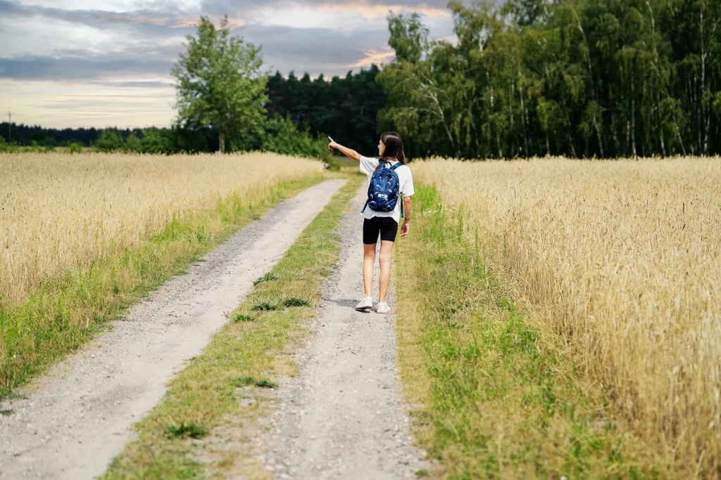 Będą ułatwienia dla rolników. Miliony na budowę dróg w Łódzkiem - Zdjęcie główne