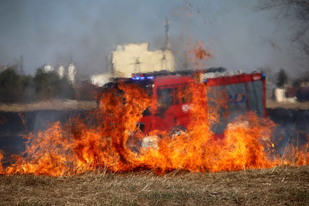Pożar traw przy pętli Olechów. Wstrzymano ruch tramwajów obu kierunkach - Zdjęcie główne
