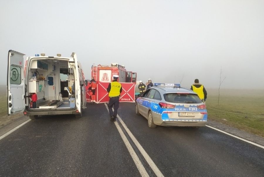 Tragiczny wypadek w Łódzkiem. Nie żyje 53-letni pasażer forda [zdjęcia] - Zdjęcie główne