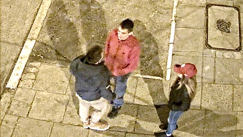 Dwaj mężczyźni poszukiwani za kradzież „na wyrwę”  - Zdjęcie główne