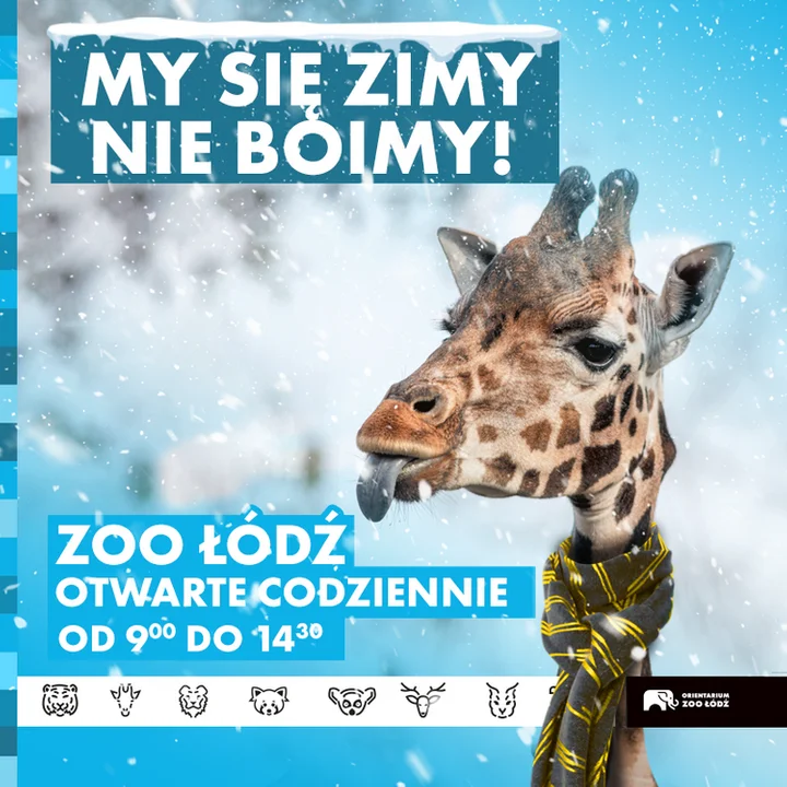 Przyjdź na zimowy spacer do łódzkiego zoo! - Zdjęcie główne