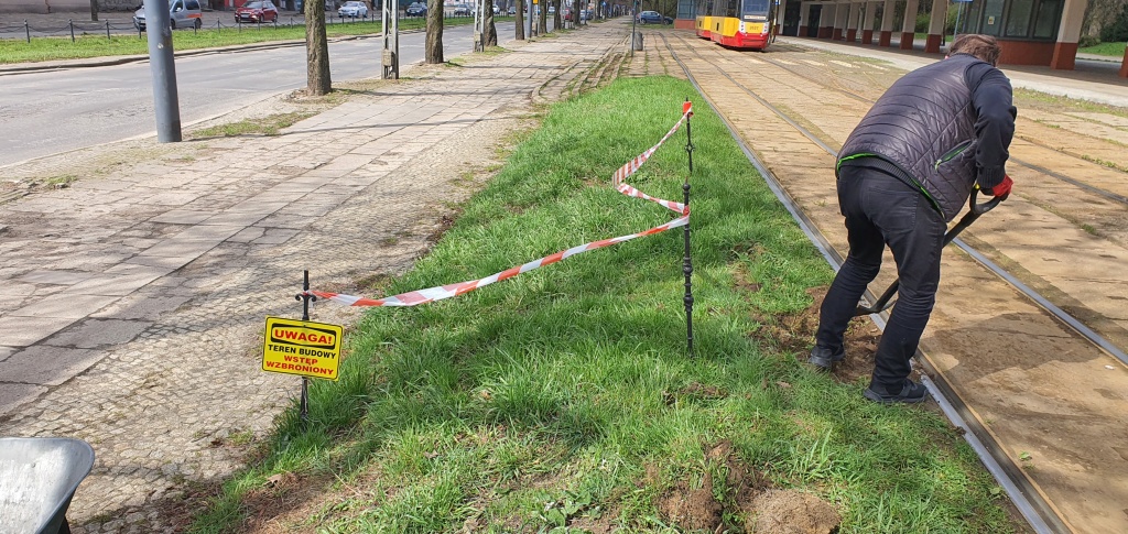 Mieszkańcy Łodzi mają dość zaniedbanych trawników. Wzięli sprawy w swoje ręce [zdjęcia] - Zdjęcie główne