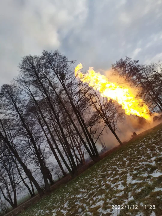 Pożar gazociągu pod Łodzią! Strażacy walczyli z płomieniem wysokim na kilka metrów [wideo | zdjęcia] - Zdjęcie główne