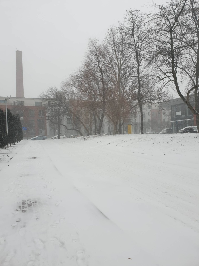 Atak zimy w Łodzi. Zasypane drogi, utrudniony dojazd do pracy - Zdjęcie główne