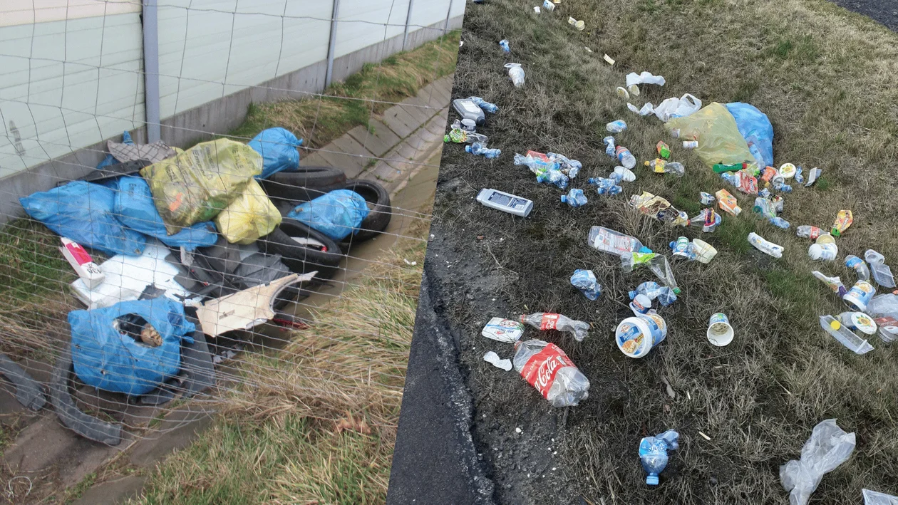 Coraz więcej śmieci przy polskich drogach. Niektórzy wyrzucają nawet opony na środku drogi [zdjęcia] - Zdjęcie główne