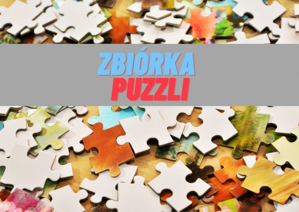 Pani Małgorzata z Łodzi zbiera puzzle dla chłopca z autyzmem. Do akcji może dołączyć każdy z nas! - Zdjęcie główne