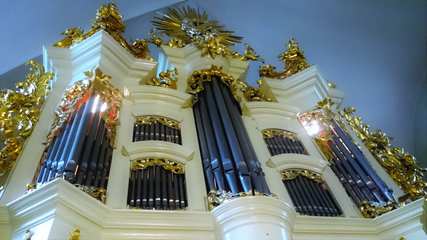 Koncert organowy w Starym Klasztorze - Zdjęcie główne