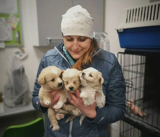 Weterynarz o wielkim sercu. Joanna Kubus z Łodzi ratuje zwierzęta z Ukrainy  - Zdjęcie główne