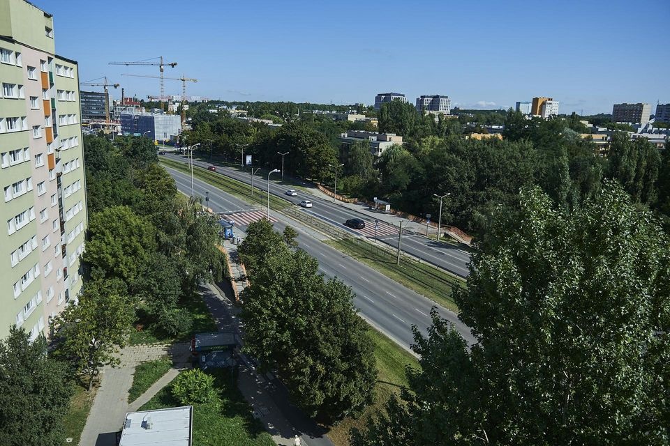 Nowe buspasy i trampasy w Łodzi. Zobacz, gdzie pojawią się ułatwienia dla komunikacji miejskiej  - Zdjęcie główne