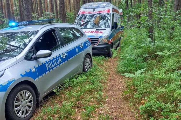 Ranna kobieta w głębi lasu nieopodal Łodzi. Ratownicy nie mogli dotrzeć do poszkodowanej - Zdjęcie główne