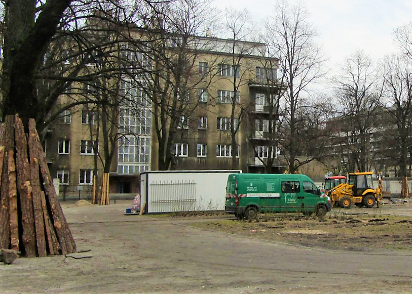 Protestowali przeciw niszczeniu drzew w Parku Sienkiewicza - Zdjęcie główne