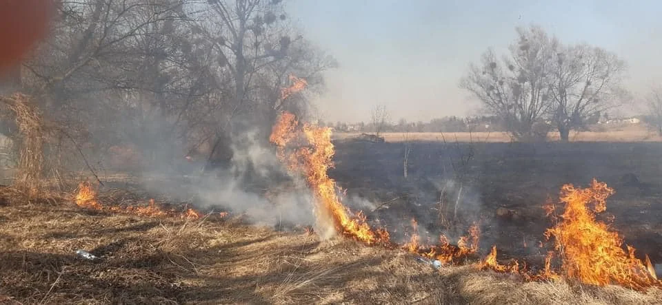 Śmierć w pożarze suchych traw w Łódzkiem. Starszy mężczyzna zginął w płomieniach  - Zdjęcie główne