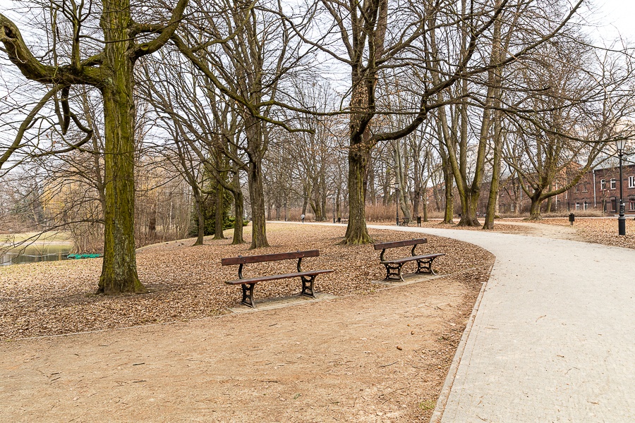 W Łodzi mamy jeden z najpiękniejszych parków w Europie! Zobacz zdjęcia Parku Źródliska I w Łodzi. W poszukiwaniu wiosny 2021 [galeria] - Zdjęcie główne