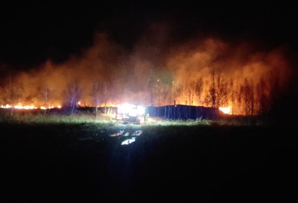 Pożar strawił 1000 mkw traw pod Łodzią! [wideo] - Zdjęcie główne