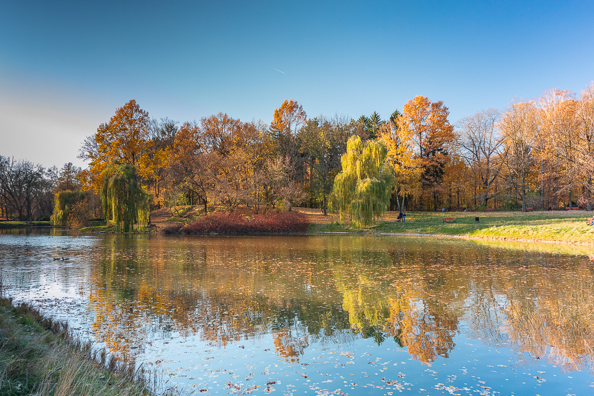 Jesień w pełnej krasie w parku na Zdrowiu w Łodzi. Zdjęcia zachwycają [galeria] - Zdjęcie główne