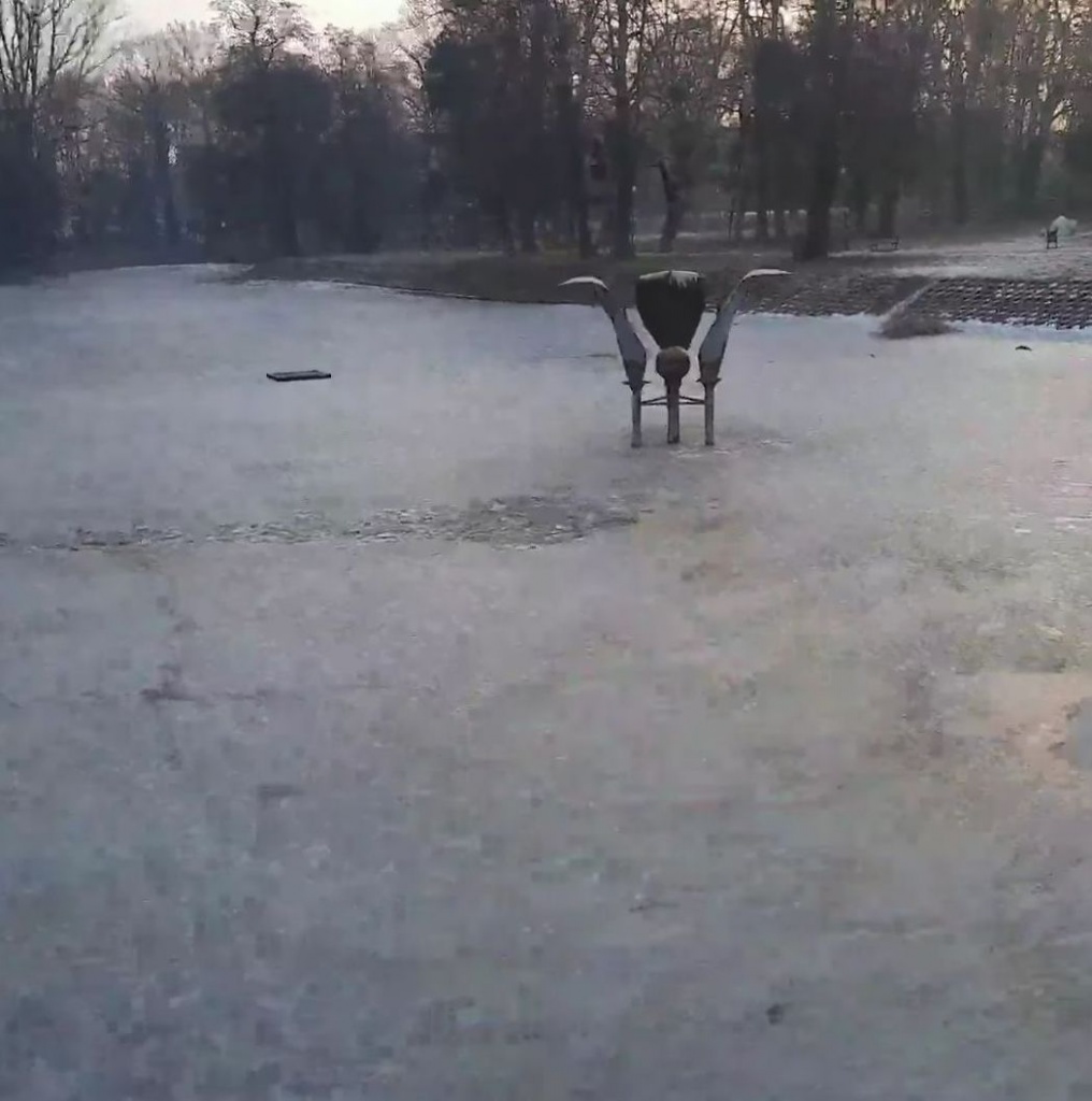 Michał Szymański, biegacz z Łodzi, rzucił się na pomoc dwóm dziewczynkom, pod którymi załamał się lód [wideo] - Zdjęcie główne