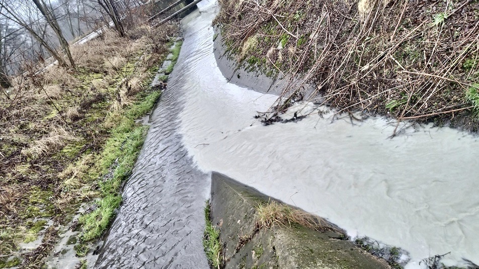 Kto haniebnie zanieczyścił chemikaliami rzekę Olechówkę? Sprawca wykryty [ZDJĘCIA] - Zdjęcie główne
