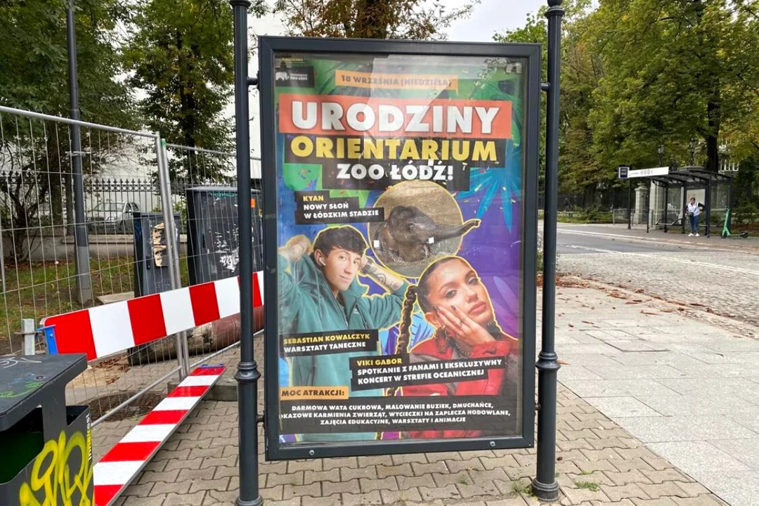Orientarium Łódź – biznes za wszelką cenę? Jak głośne imprezy mają się do dobra zwierząt - Zdjęcie główne