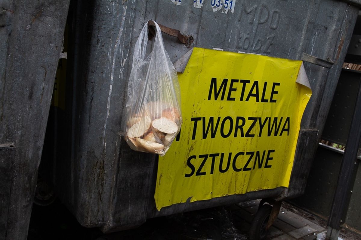 Jak segregować śmieci w Łodzi? Zobacz naszą ściągę [poradnik] - Zdjęcie główne