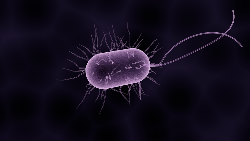 Bakteria odporna na tzw. antybiotyki ostatniej szansy, wykryta w dwóch szpitalach w regionie łódzkim  - Zdjęcie główne