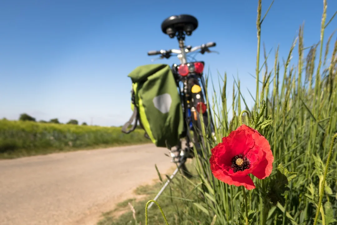 Letnie przejażdżki rowerowe – jakie ubrania wybrać? - Zdjęcie główne