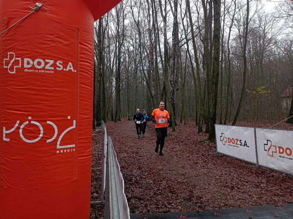 Biegali po Lesie Łagiewnickim. Tak się przygotowują do DOZ Maraton Łódź [ZDJĘCIA] - Zdjęcie główne