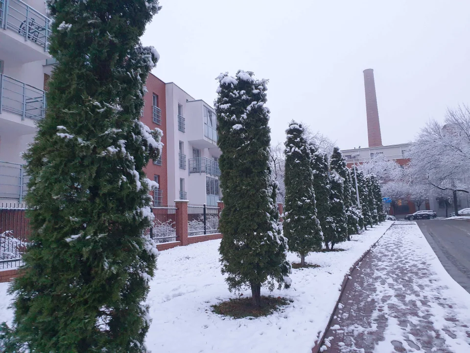 W Łodzi spadł pierwszy śnieg! Zima nadchodzi wielkimi krokami - Zdjęcie główne