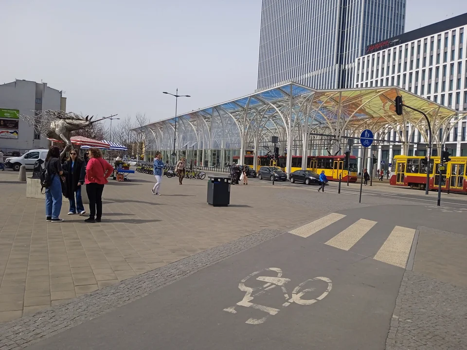 Specjalne kosze dla rowerzystów w Łodzi? „Wygodnie będzie w nie rzygać” - Zdjęcie główne